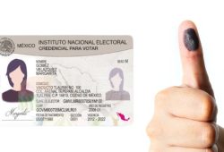 Elecciones 2024. Fecha límite para recoger mi INE Foto: especial